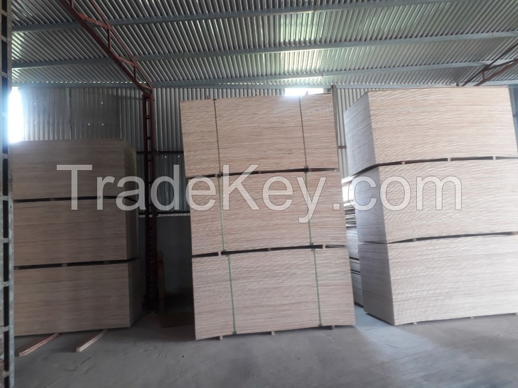 Plywood furniture grade with 100% eucalyptus core 