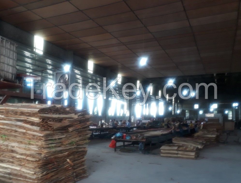 Plywood furniture grade with 100% eucalyptus core 