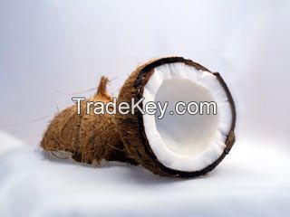 Organic Coconut Milk Freeze-dried Powder