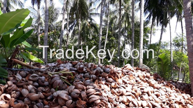 Mature coconut, Semi Husked Mature Coconut Origin Indonesia