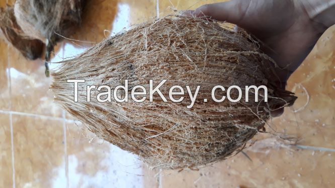 Mature coconut, Semi Husked Mature Coconut Origin Indonesia