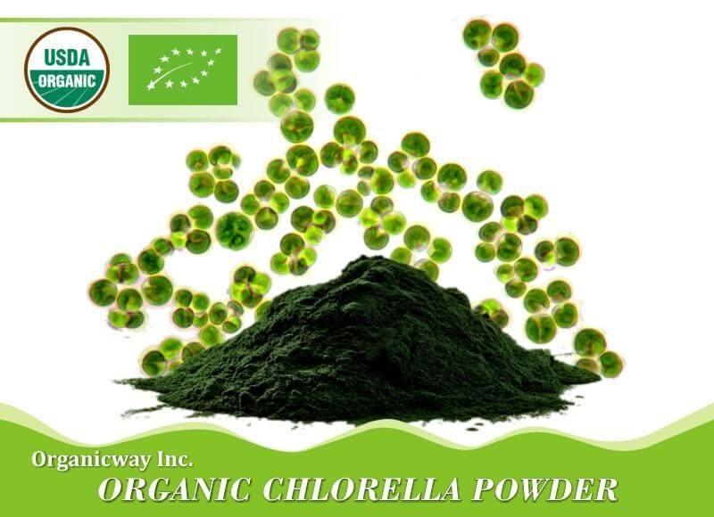 Organic chlorella powder 