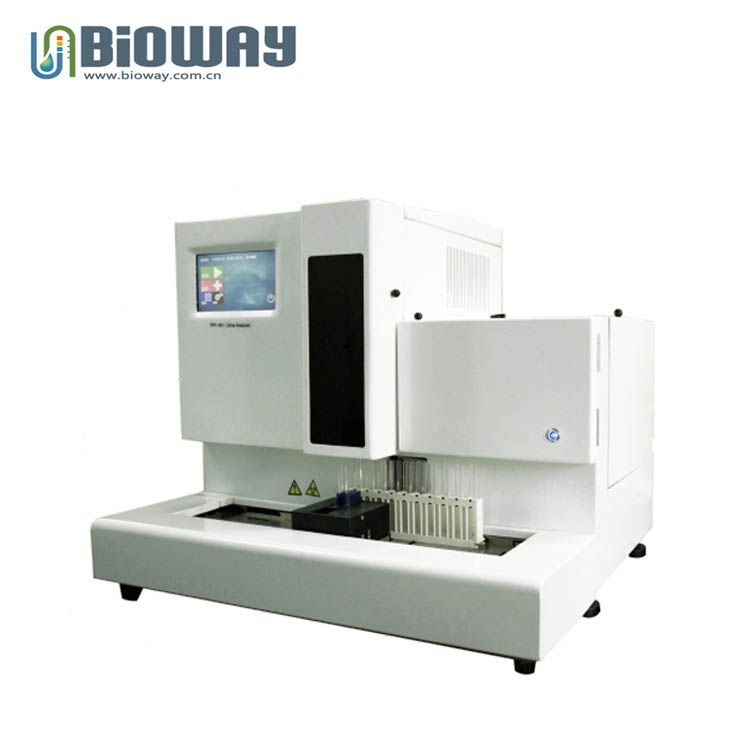 BW-901 Full-Automatic Urine Analyzer