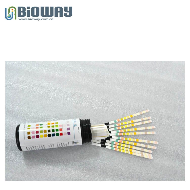 Urine Reagents Test Strips