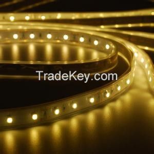 DC12V/24V 3528 white/warm white color Led Flexible Strip Light