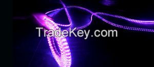 AC220V 5050 white/warm white/purple color Led Flexible Strip Light