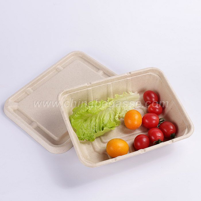 1200ml 2Com Rectangle Sugarcane Container