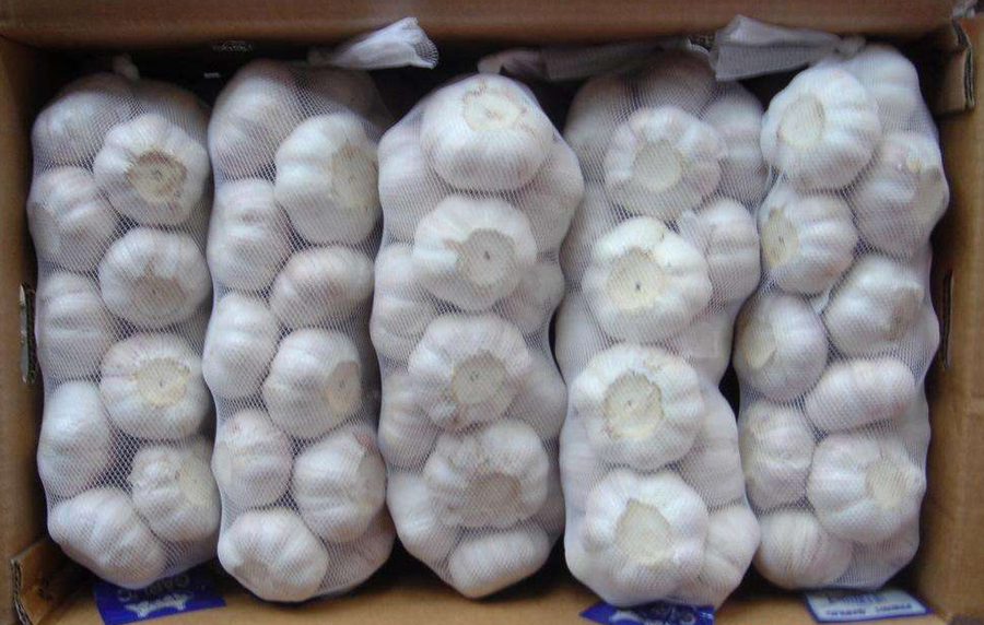 Bulk Garlic for Sale | White Garlic Price