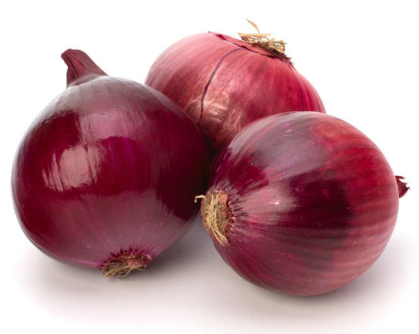 Top Quality | Fresh Onion | New Crop 5-7cm
