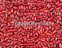 Black Kidney Beans