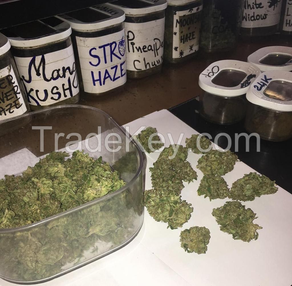 Top quality medical marijuana for sale