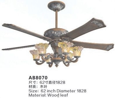 Ceiling Fan Lights