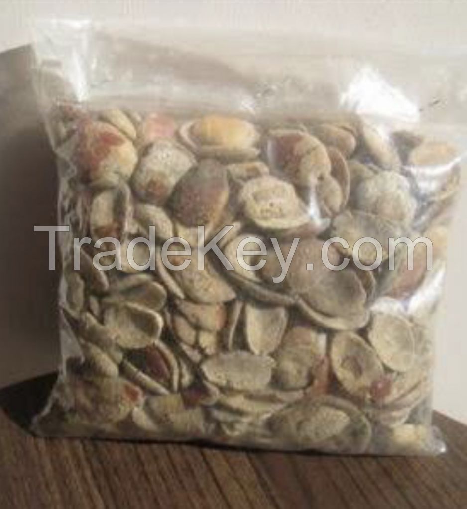 Ogbono seed (Irvingia gabonensis)