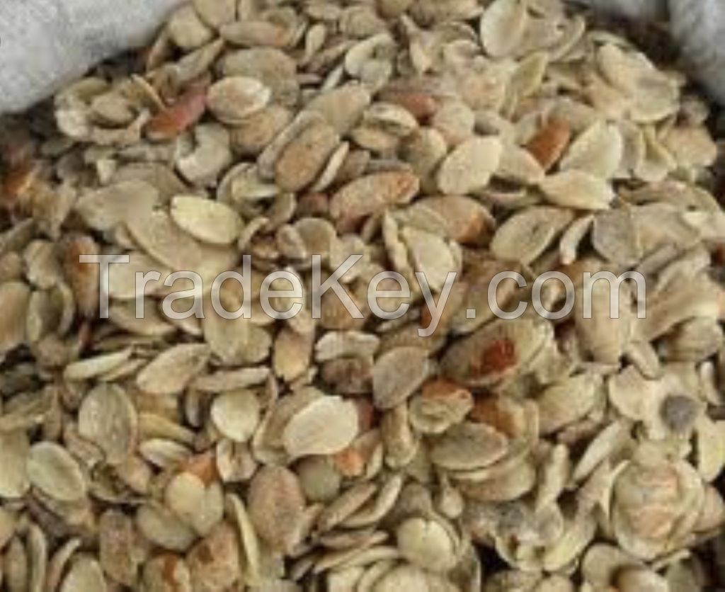 Ogbono seed (Irvingia gabonensis)