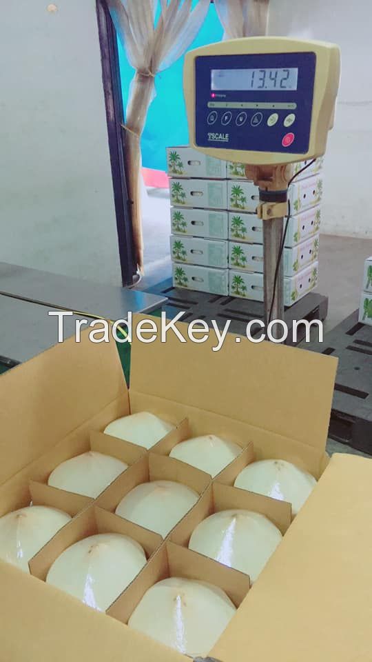 Natural Quality Fresh Young Coconuts from Thailand