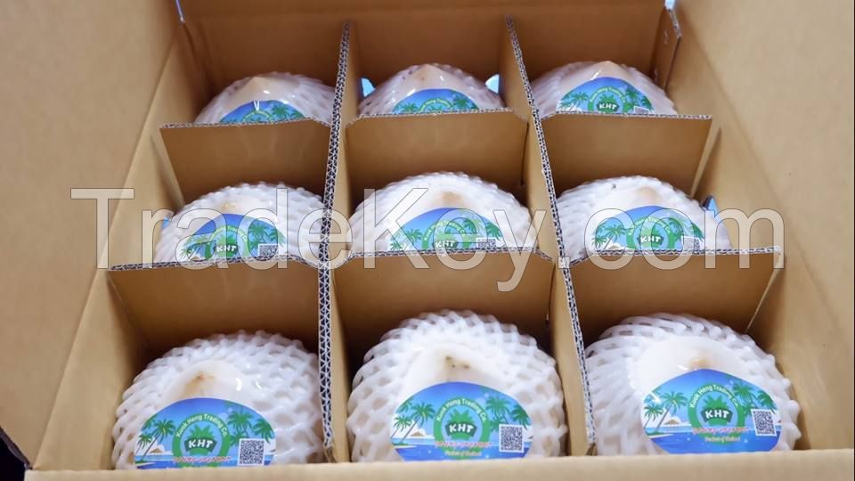 Natural Quality Fresh Young Coconuts from Thailand