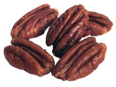 Pecan Nuts