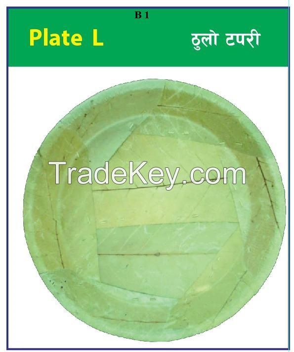 Eco-friendly Bio-degradable Leaf Plates