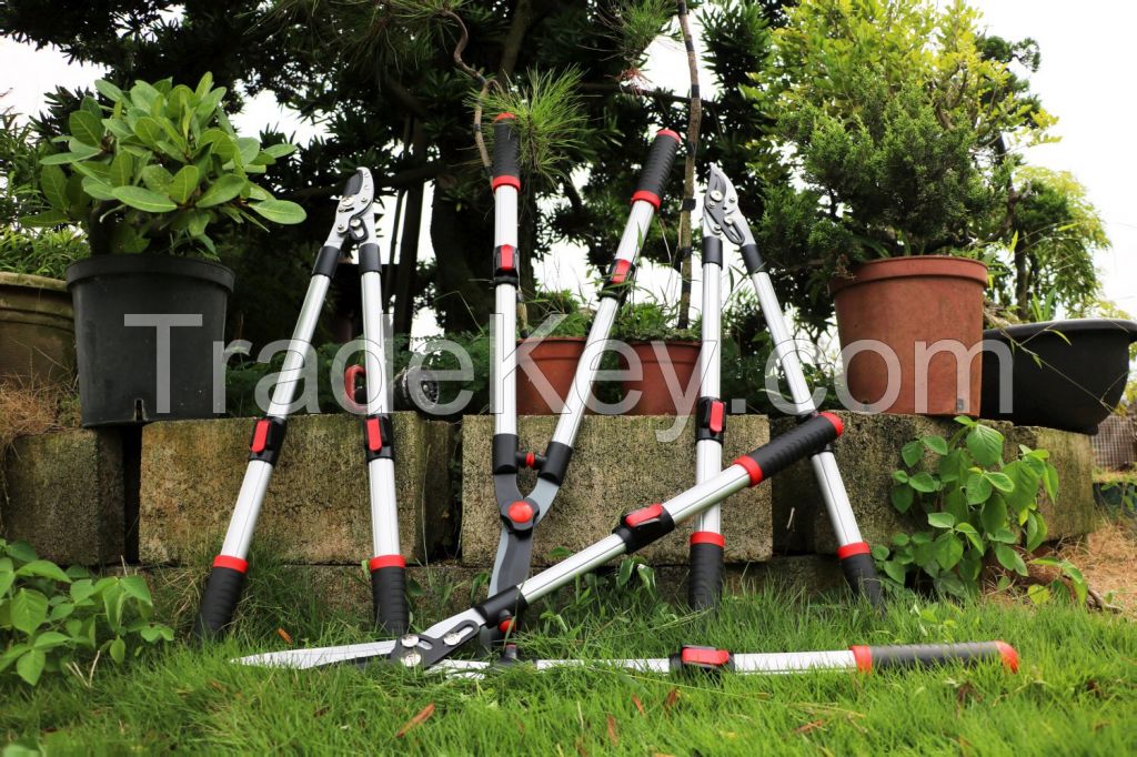 Telescopic Loppers and Hedge Shears