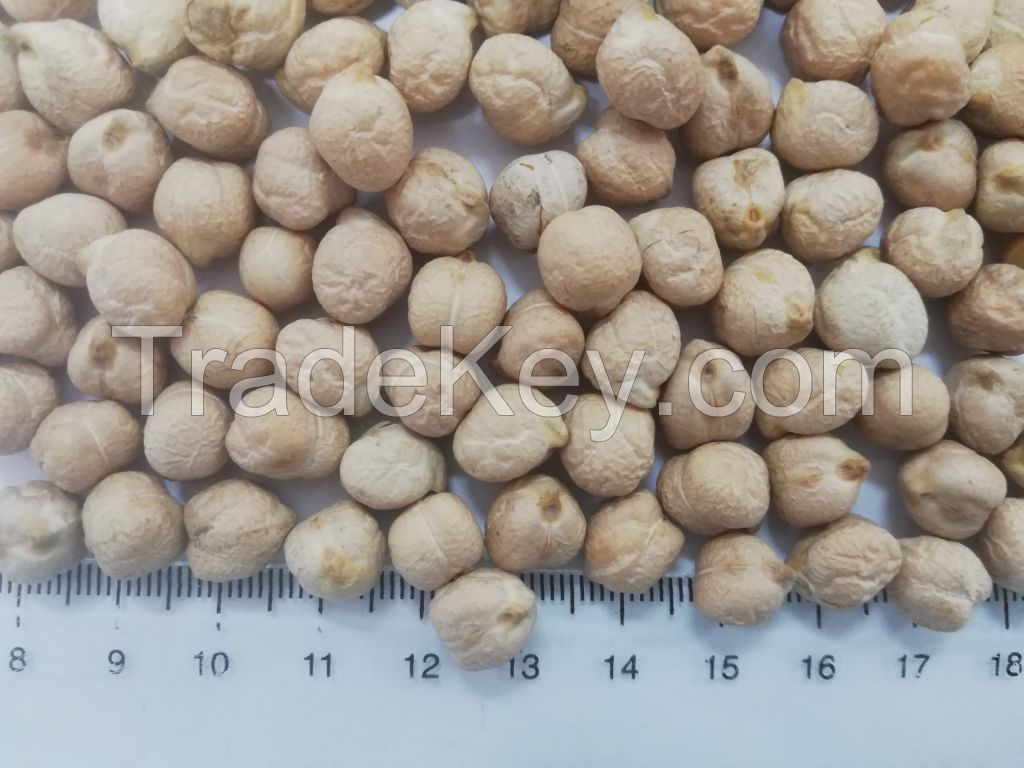 Kabuli Chickpeas