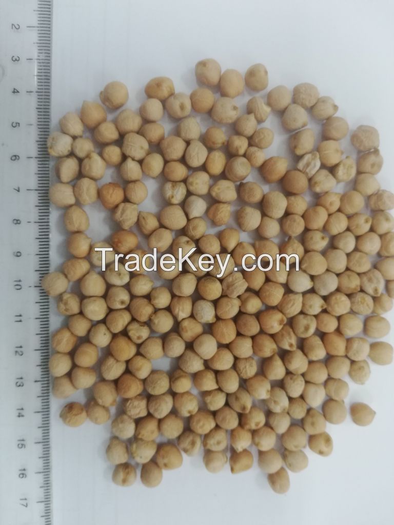 Kabuli Chickpeas