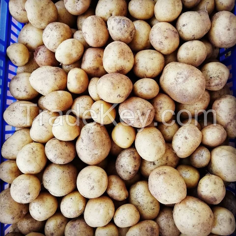 Fresh Potatoes