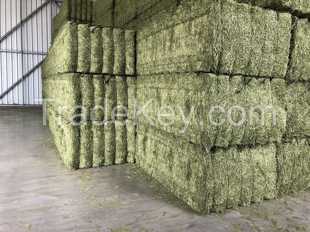 Dehydrated Alfalfa Hay Timothy Hay