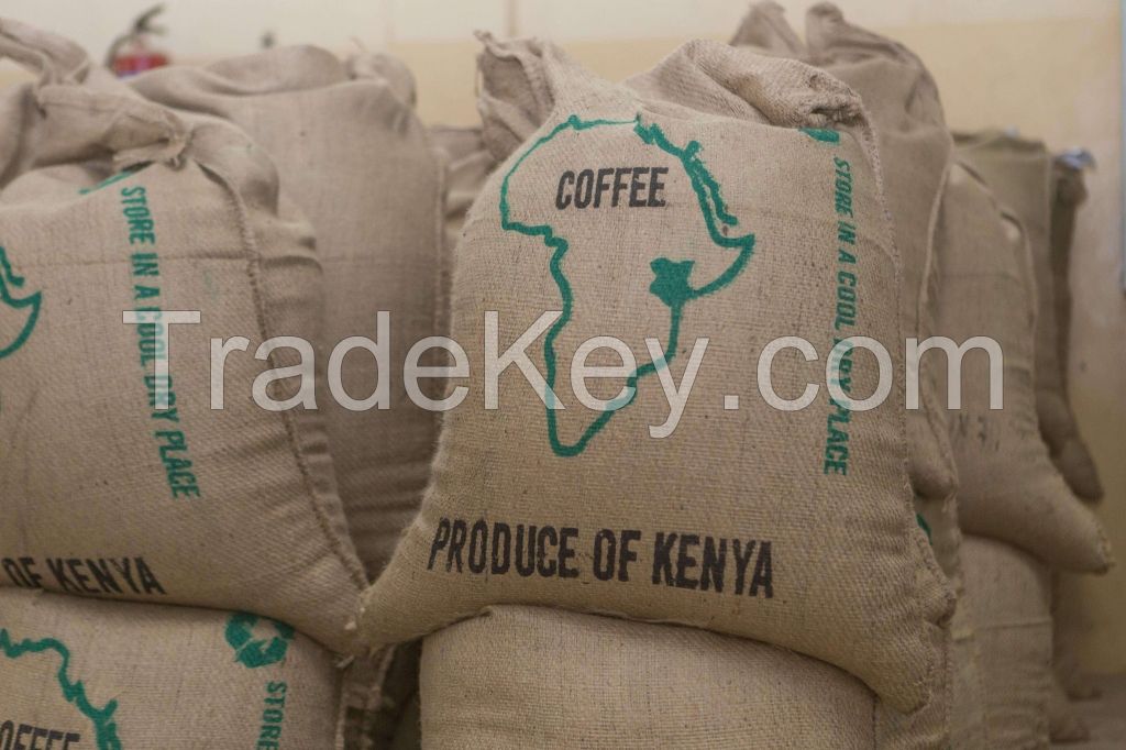 Arabica Coffee beans for sale