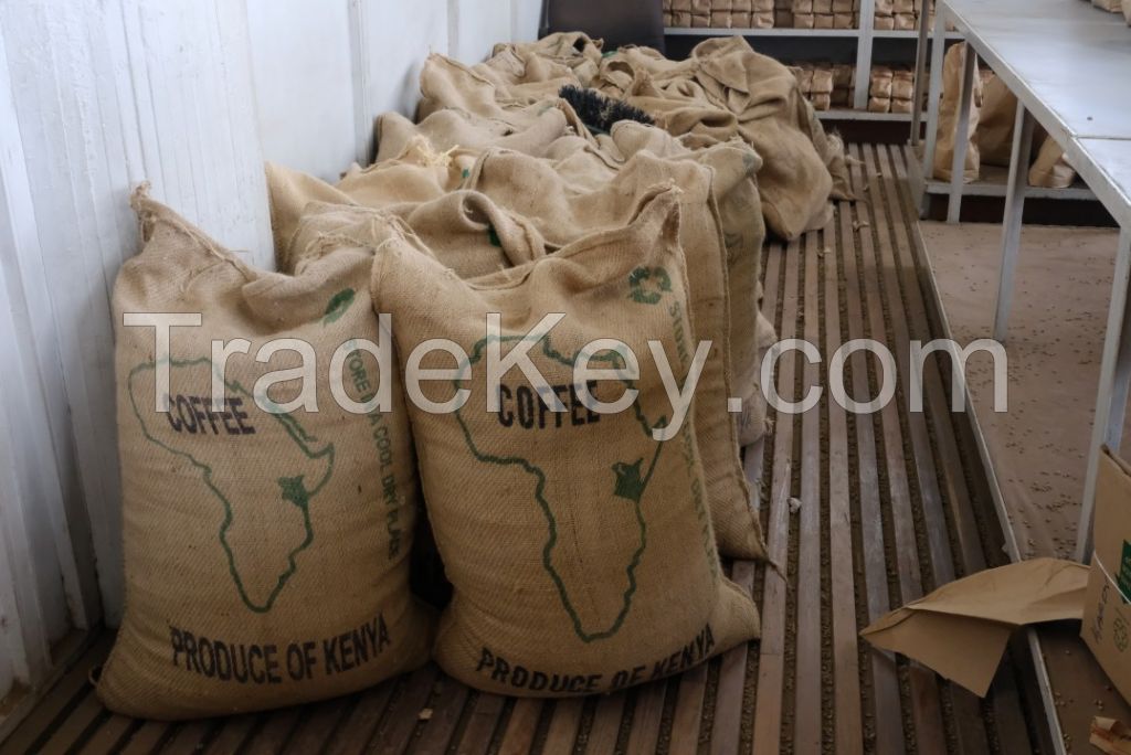 Buy Arabica Coffee beans in Kenya