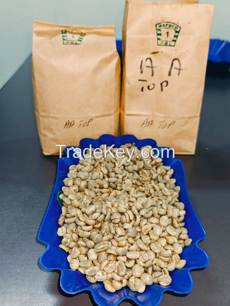 Buy Arabica Coffee beans in Kenya
