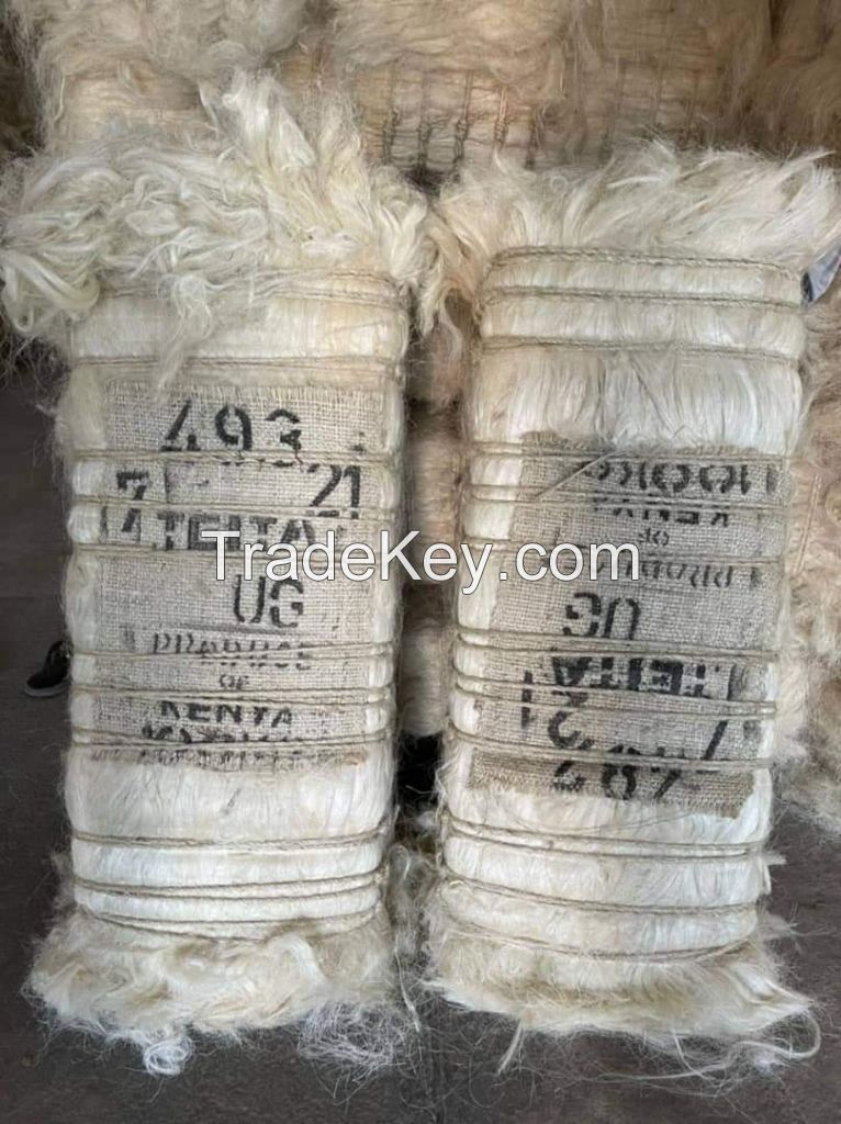 UG Grade and SSUG Natural Sisal Fiber /Natural White Sisal Fiber