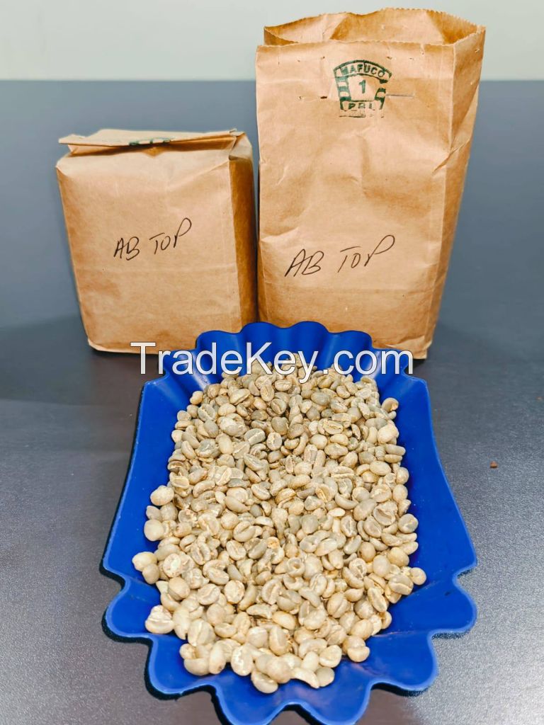 Buy Arabica Coffee beans in Kenya