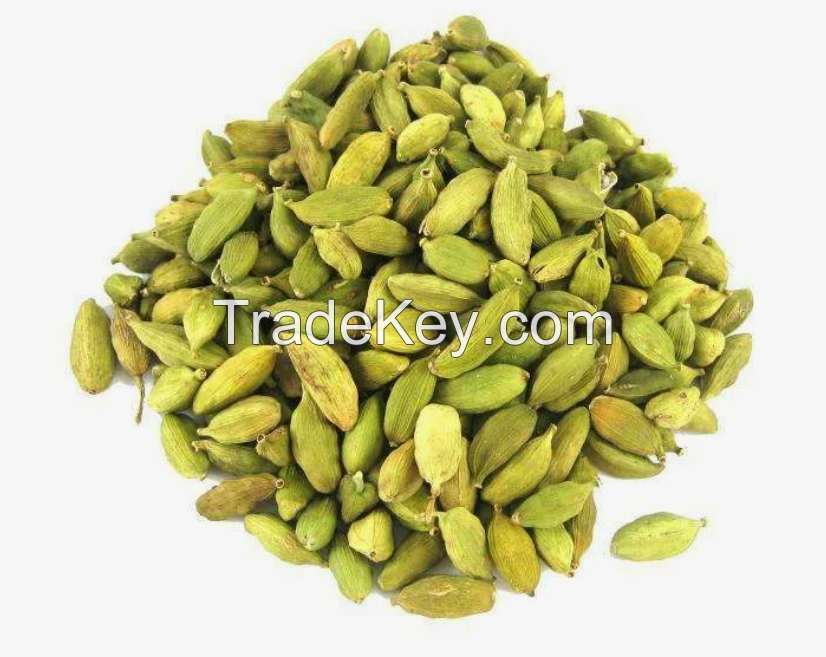 High Quality Green Cardamom Seed / Cheap Prices Green Cardamom Fast Shipping