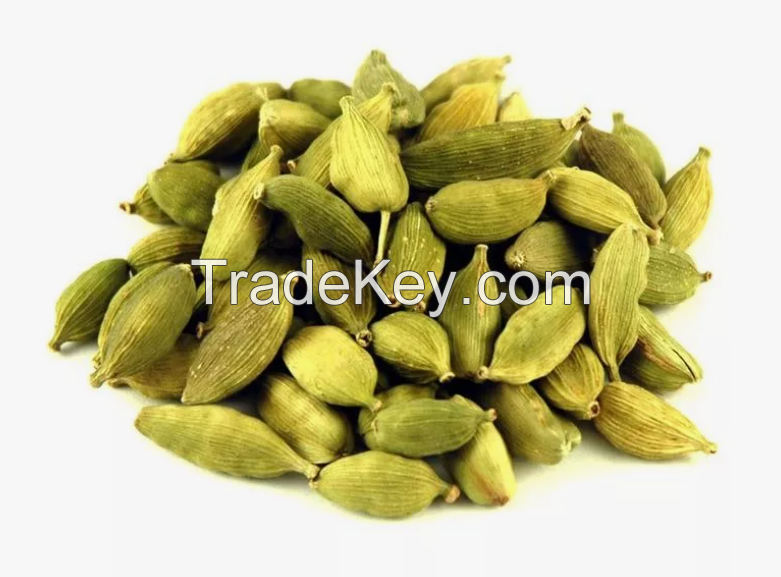 High Quality Green Cardamom Seed / Cheap Prices Green Cardamom Fast Shipping