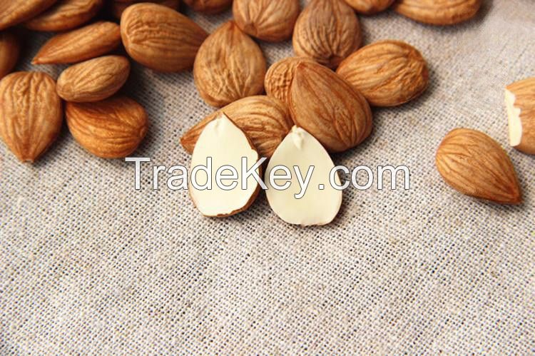 Dried Sweet Almonds and Apricot