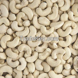 Raw  Cashew Nuts and Processed Cashew Nuts