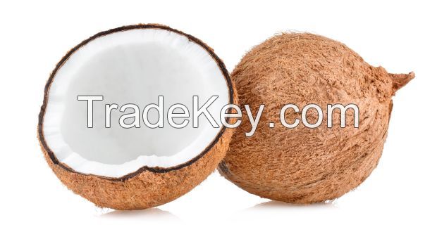 Coconut