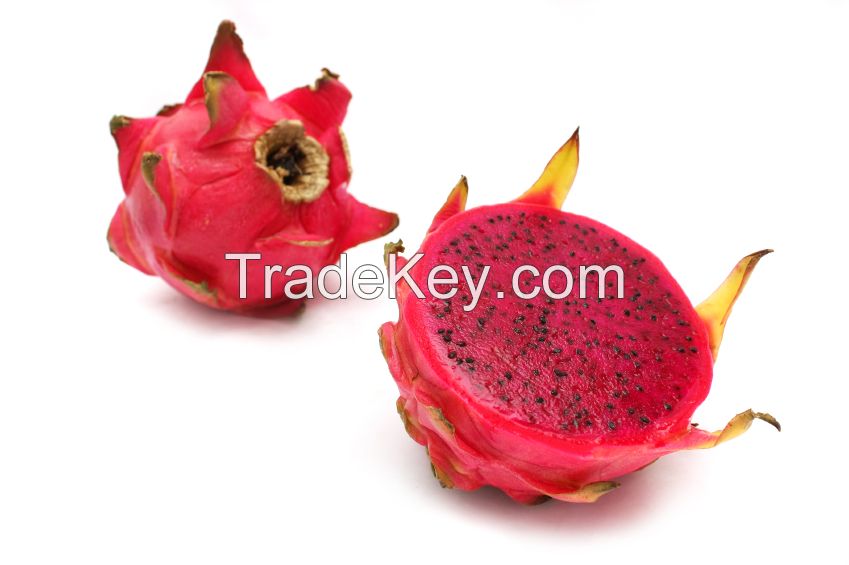 Global Gap Tropical Fruits From Vietnam - Fresh Red Dragon Fruit