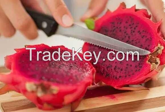 Global Gap Tropical Fruits From Vietnam - Fresh Red Dragon Fruit