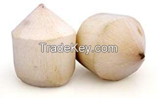 FRESH TROPICAL FRUIT IN VIET NAM FRESH YOUNG COCONUT 