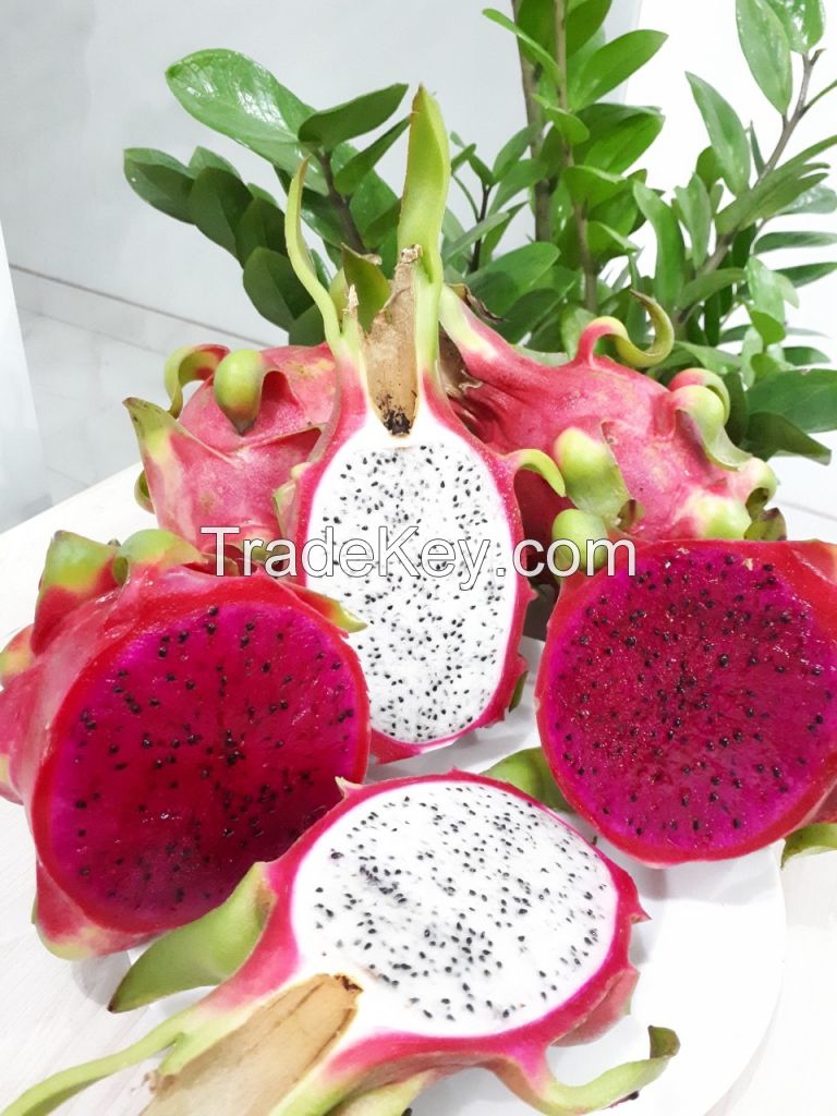 FRESH TROPICAL FRUIT IN VIET NAM DRAGON FRUIT