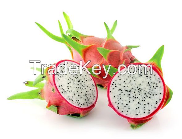 FRESH TROPICAL FRUIT IN VIET NAM DRAGON FRUIT