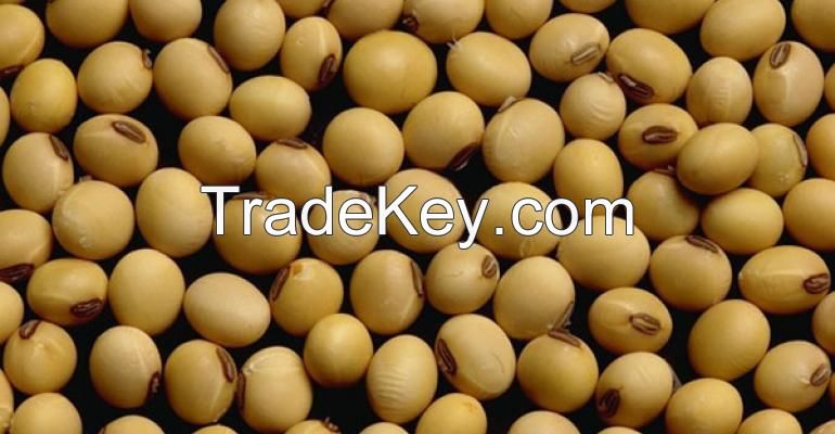 SOYBEANS