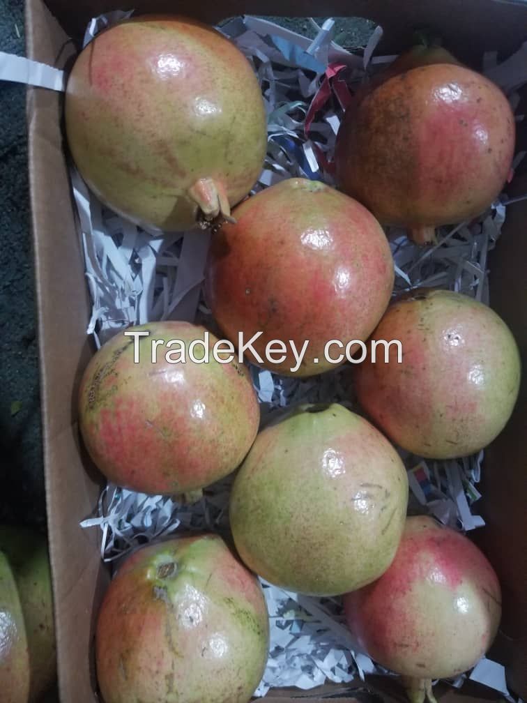 Yemeni Fresh Pomegranate  