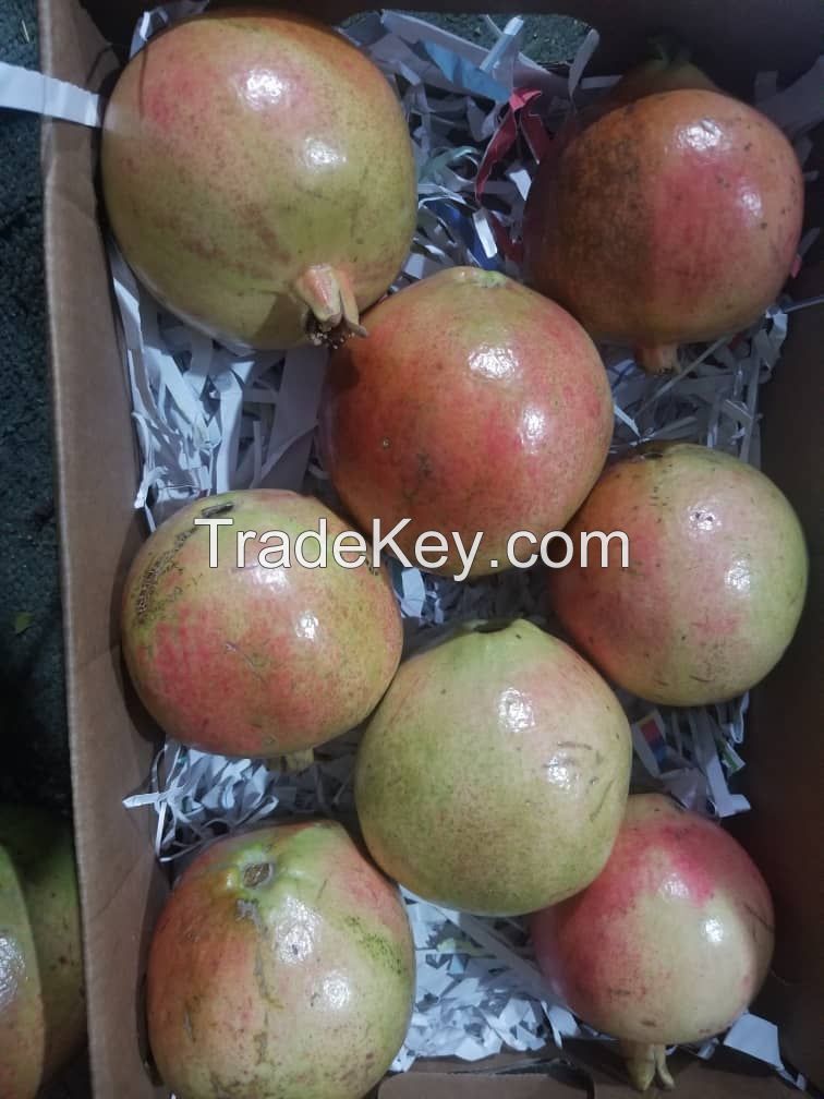 Yemeni Fresh Pomegranate  