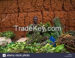  African Herbs