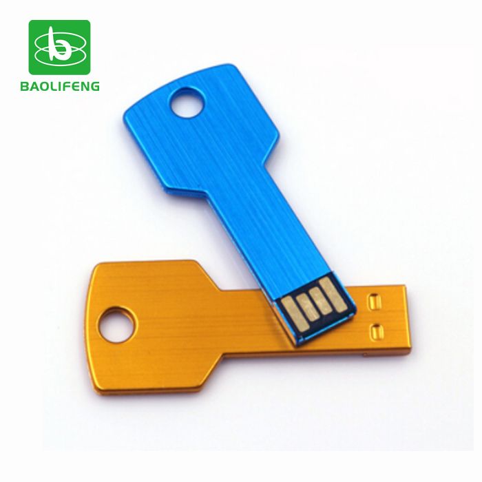 Custom logo key shaped usb flash drive 2GB/4GB/8GB/16GB/32GB/64GB