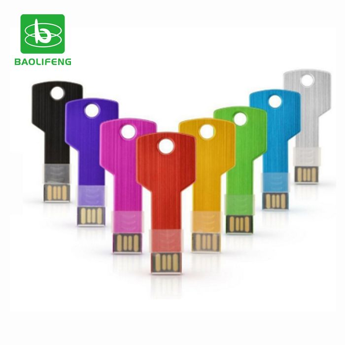 Custom logo key shaped usb flash drive 2GB/4GB/8GB/16GB/32GB/64GB