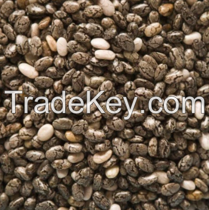 Chia Seeds (salvia hispanica)
