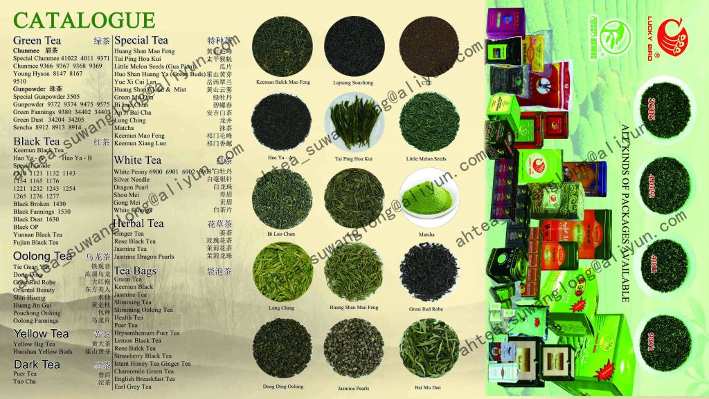 China  Green Tea, Chunmee, Gunpowder